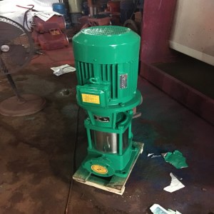 供應(yīng)GDL型多級管道泵